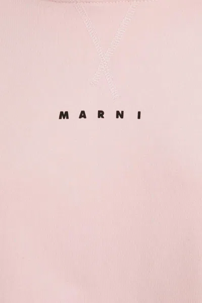 Marni Sweatshirts In Pink