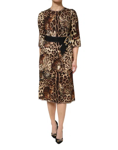 Pre-owned Dolce & Gabbana Brown Leopard Print Belted A-line Midi Women's Dress ()