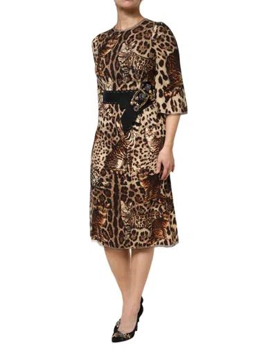 Pre-owned Dolce & Gabbana Brown Leopard Print Belted A-line Midi Women's Dress ()