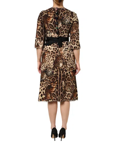 Pre-owned Dolce & Gabbana Brown Leopard Print Belted A-line Midi Women's Dress ()