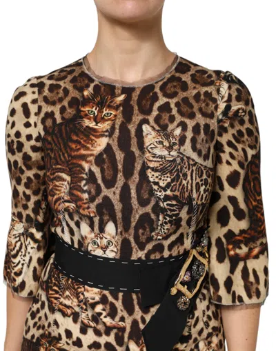 Pre-owned Dolce & Gabbana Brown Leopard Print Belted A-line Midi Women's Dress ()