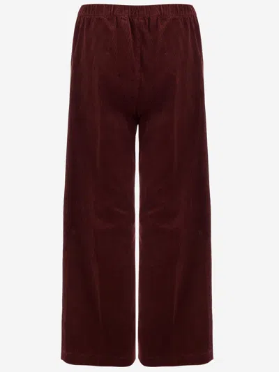 Aspesi Elasticated-waist Trousers In Red