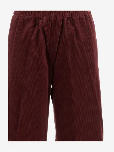 Aspesi Elasticated-waist Trousers In Red