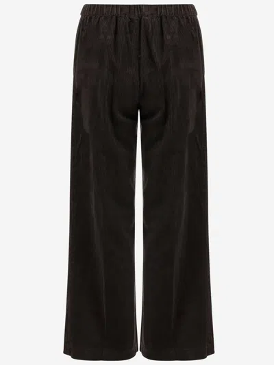 Aspesi Cotton Velvet Pants In Brown