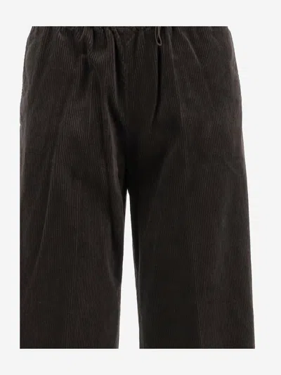 Aspesi Cotton Velvet Pants In Brown