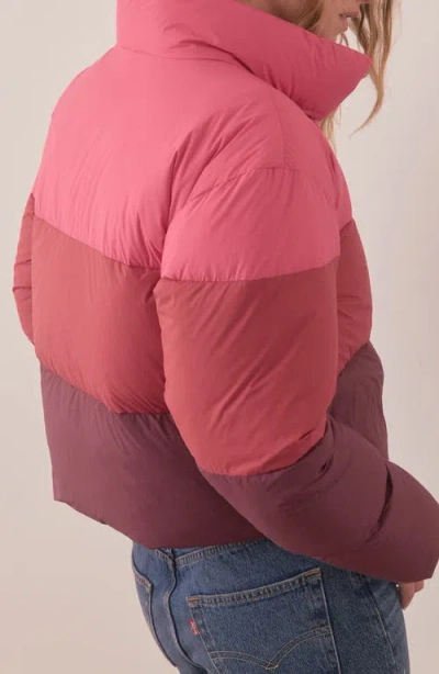 Marine Layer Gia Crop Down Puffer Jacket