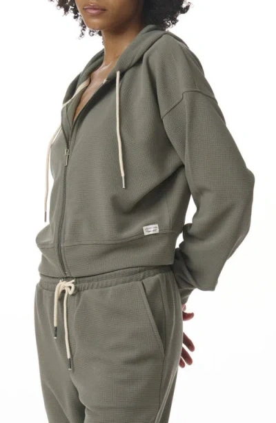 Splendid Waffle Stitch Front Zip Hoodie