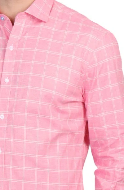 Tailorbyrd Windowpane Stretch Cotton Button Down Shirt In Pink