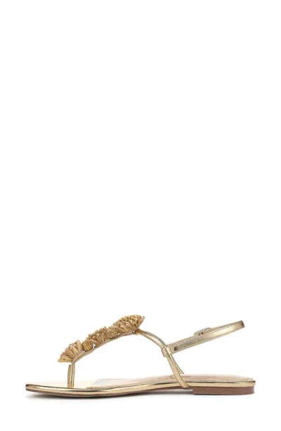 Sam Edelman Eliza Sandal