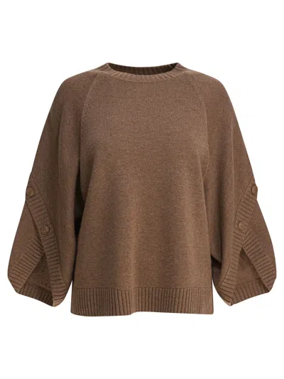 Max Mara Knitwear With Button Detail And Raglan Sleeves In Brown
