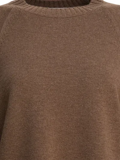 Max Mara Knitwear With Button Detail And Raglan Sleeves In Brown