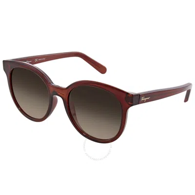 Ferragamo Brown Gradient Teacup Ladies Sunglasses Sf833s 210 53