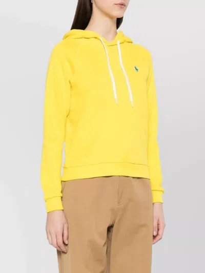 Ralph Lauren Hooded Sweatshirt Pocket Pouch In Yellow