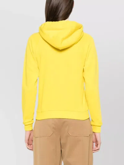 Ralph Lauren Hooded Sweatshirt Pocket Pouch In Yellow
