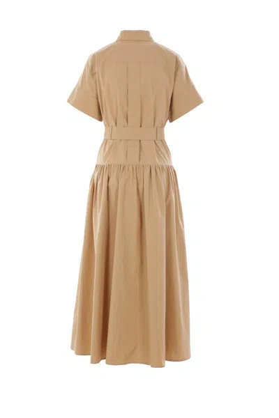 Max Mara Agoraio Cotton Poplin Shirt Dress In Brown