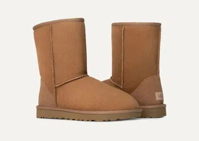 Ugg "classic Short Ii" Boots In Brown