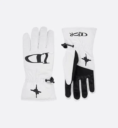 Dior Ski "dior And Lewis Hamilton" Ski Gloves