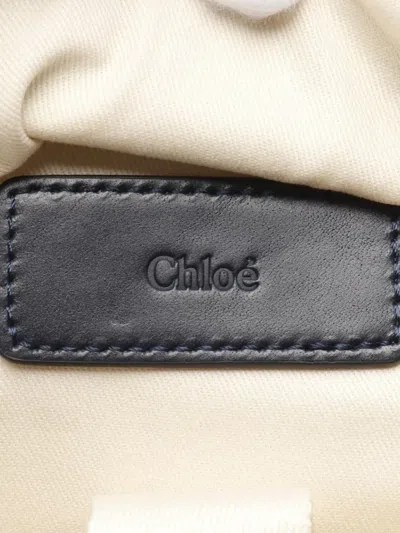 Pre-owned Chloé 2020s Canvas Leather Backpack In Neutral