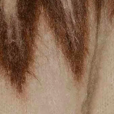 Isabel Marant Étoile Lightweight Textured Knit Sweater With Relaxed Fit In Brown