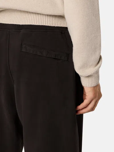 Stone Island Track Pants In Brown