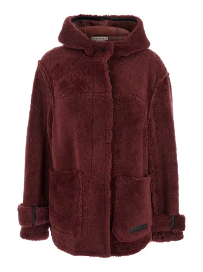 Marni Genuine Shearling Hooded Jacket In Brown