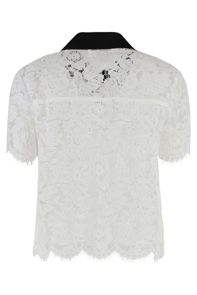 Self-portrait Floral Lace Cropped Top