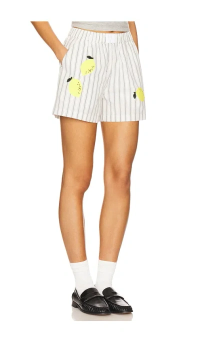 Kule The Limon Shorts In Gray
