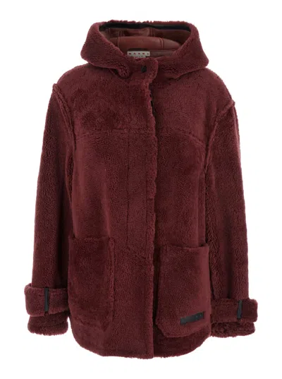Marni Genuine Shearling Hooded Jacket In Brown