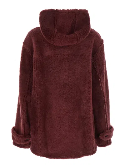 Marni Genuine Shearling Hooded Jacket In Brown