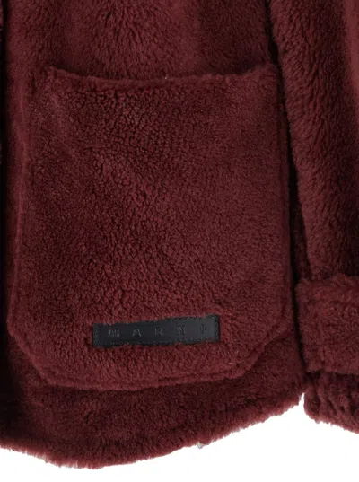 Marni Genuine Shearling Hooded Jacket In Brown