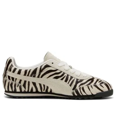 Puma (wmns)  Arizona 'zebra'