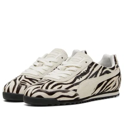 Puma (wmns)  Arizona 'zebra'