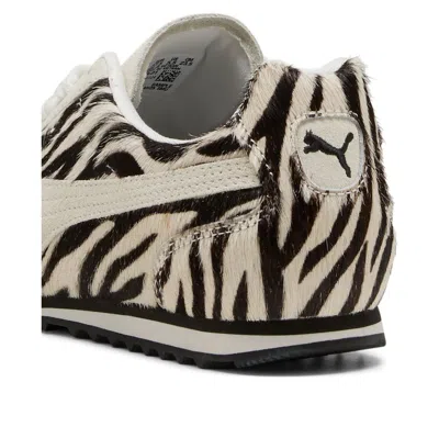 Puma (wmns)  Arizona 'zebra'