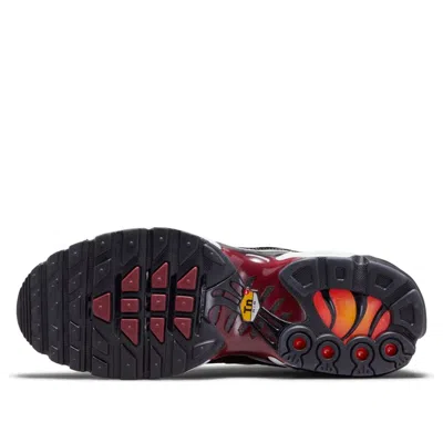 Nike (wmns)  Air Max Plus 'sisterhood'