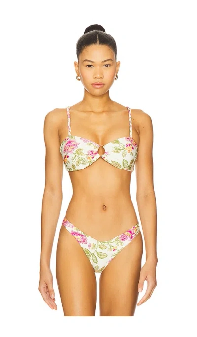 Maaji Pomona Bikini Top In Multi