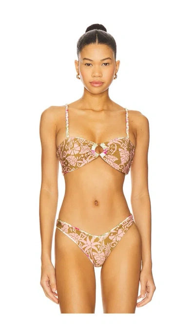 Maaji Pomona Bikini Top In Multi