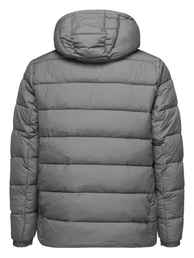 Save The Duck Boris Padded Down Jacket With Hood In Gray