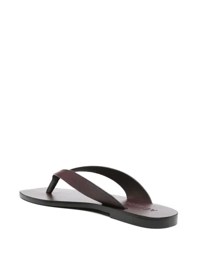 A.emery 10mm Kinto Leather Flip Flops In Burgundy