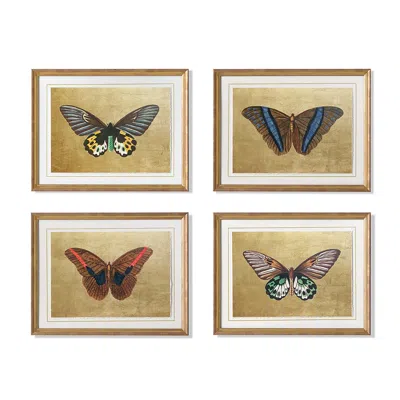 Frontgate Set Of 4 New York Botanical Garden Butterfly Art