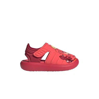 Pre-owned Adidas Originals Adidas Disney X Water Sandal I 'sebastian' | Red | Infant Size 7
