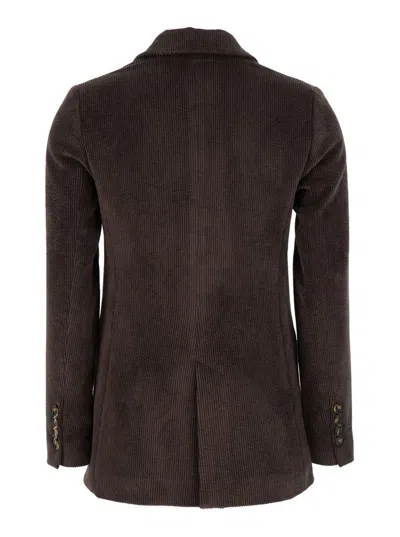 Plain Double Breasted Blazer Ribbed Velvet In Brown