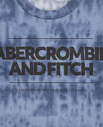 Abercrombie Boys Cinder Block T-shirt In Blue