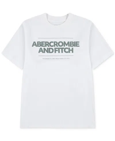 Abercrombie Boys Cinder Block T-shirt In White