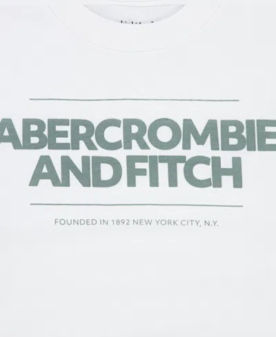 Abercrombie Boys Cinder Block T-shirt In White