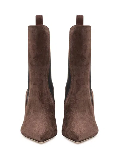 Paris Texas Pointed Ankle Boots In Soft Pepper Suede Leather In Brown