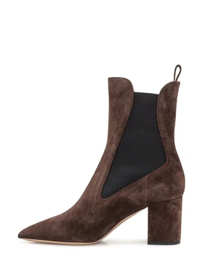 Paris Texas Pointed Ankle Boots In Soft Pepper Suede Leather In Brown