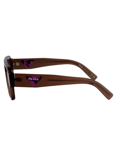 Prada Transparent Brown Acetate Sunglasses In Brown