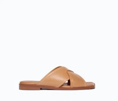 Freda Salvador Women's Marta Sandal In Natural