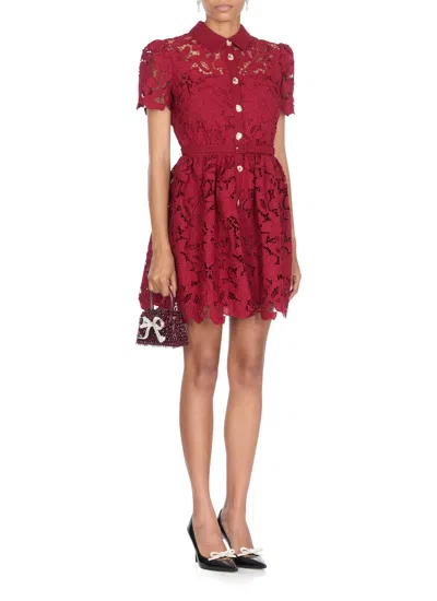 Self-portrait Womens Embroidered Collared Lace Mini Dress Burgundy In Red