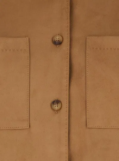 Urbancode Brown Shirt With Classic Collar In Tech Fabric Stretch Woman In Multi